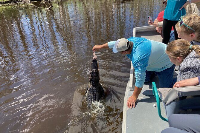 Small Airboat and Oak Alley Plantation Tour from New Orleans - How the 7-hour day works from New Orleans