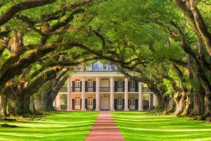 Small Airboat and Oak Alley Plantation Tour from New Orleans - Oak Alley Plantation: the 1837 mansion and the oak-tree photo line