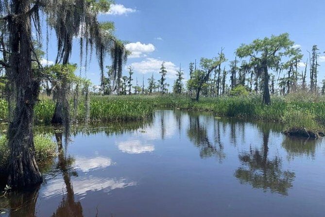 Small-Group Airboat Swamp Tour with Downtown New Orleans Pickup - Downtown Pickup: The Part You’ll Be Glad You Don’t Have to Figure Out