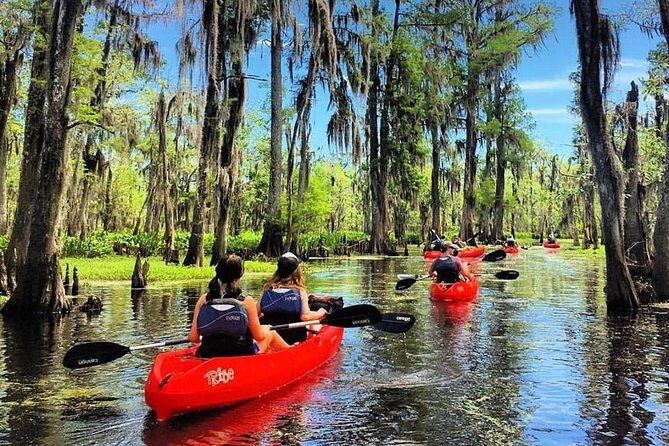 Small-Group Manchac Swamp Kayak Tour - Key highlights at a glance