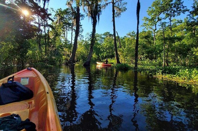 Small-Group Manchac Swamp Kayak Tour - Transportation from the French Quarter: convenient, but expect travel time