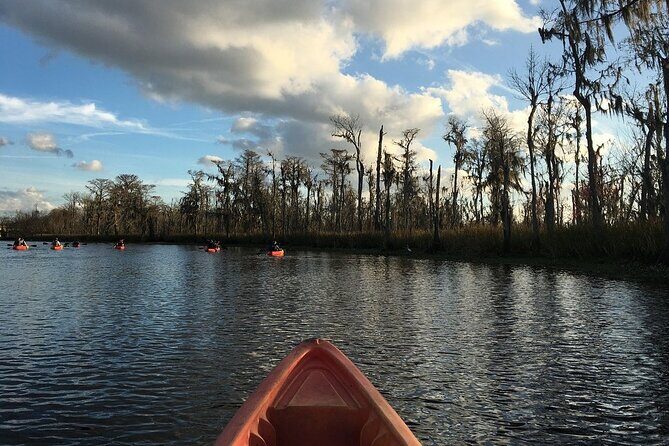 Small-Group Manchac Swamp Kayak Tour - What wildlife watching teaches you (and why it feels different than a boat tour)