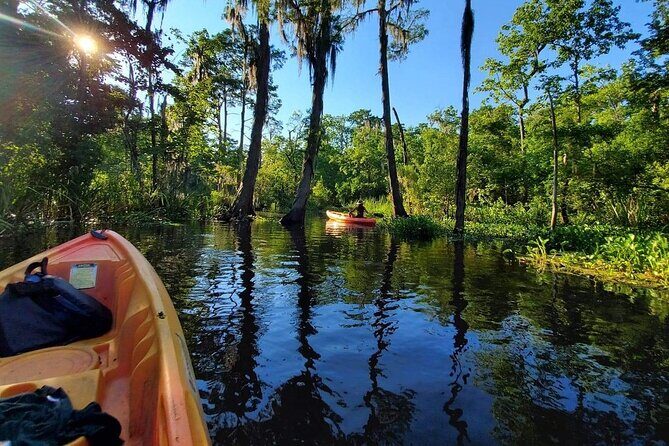 Small-Group Manchac Swamp Kayak Tour - Nature vs. bugs and weather: bring the right “small stuff”