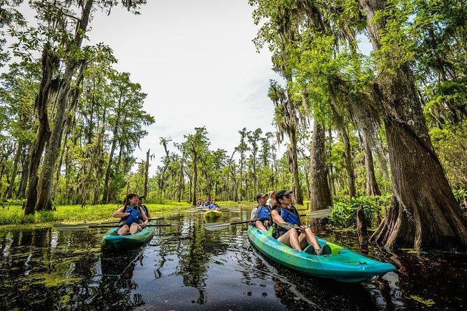 Small-Group Manchac Swamp Kayak Tour with Local Guide - Key Highlights Before You Go