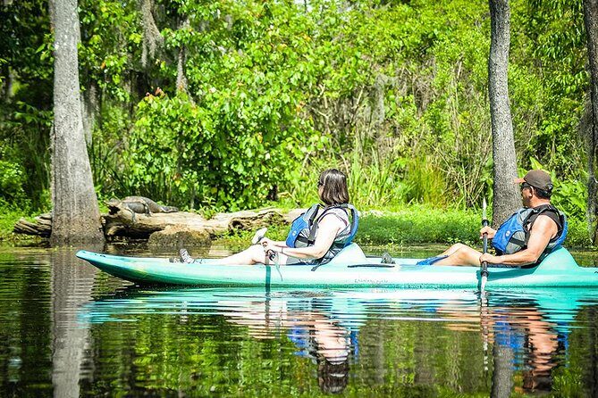 Small-Group Manchac Swamp Kayak Tour with Local Guide - Manchac Swamp Kayaking: The Actual Feel of This Trip