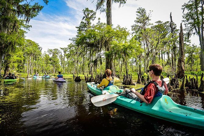 Small-Group Manchac Swamp Kayak Tour with Local Guide - On the Water: How the Paddling Part Works