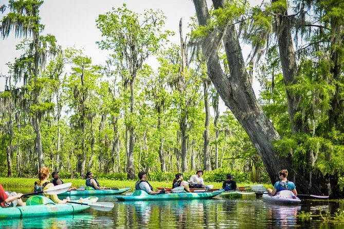 Small-Group Manchac Swamp Kayak Tour with Local Guide - Plants, Water, and the Bayou Soundtrack