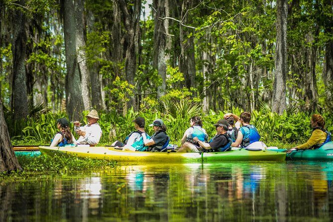 Small-Group Manchac Swamp Kayak Tour with Local Guide - Who This Kayak Trip Fits Best