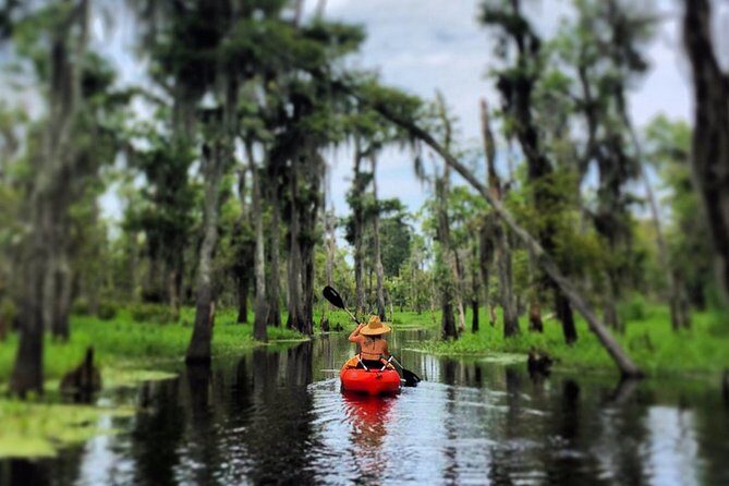 Small-Group Manchac Swamp Kayak Tour - What happens before you launch: gear, lesson, and comfort