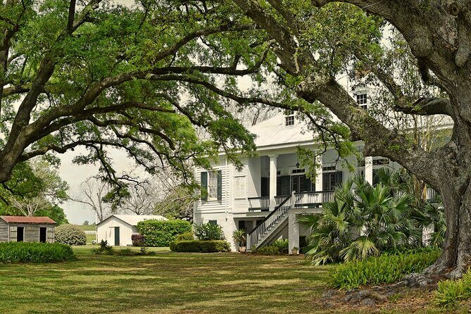 St. Joseph Plantation Tour - The Family-Run Style: How the Guide’s Q&A Changes the Experience