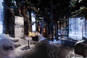 The National WWII Museum Campus Pass plus 4-D Film - Solomon Victory Theater and Beyond All Boundaries: what the 4D experience includes