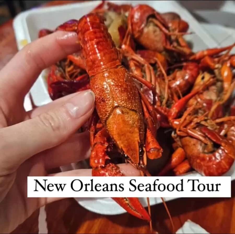 Treme Bar Crawl & Seafood Experience - Ending at a Black-Owned Seafood Restaurant: The Part You’ll Remember