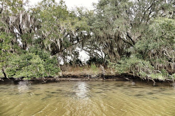 Ultimate Swamp Tour Experience with Transportation from New Orleans - What happens after the boat: back to the French Quarter, still with energy