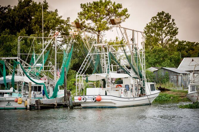 Ultimate Swamp Tour Experience with Transportation from New Orleans - What to wear, what to bring, and what to buy on the day