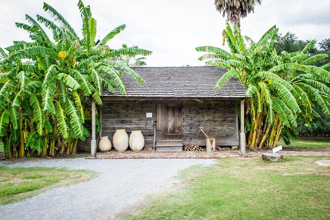 Whitney Plantation Tour with Narrated Bus Ride from New Orleans - What to bring and how to make the most of the day