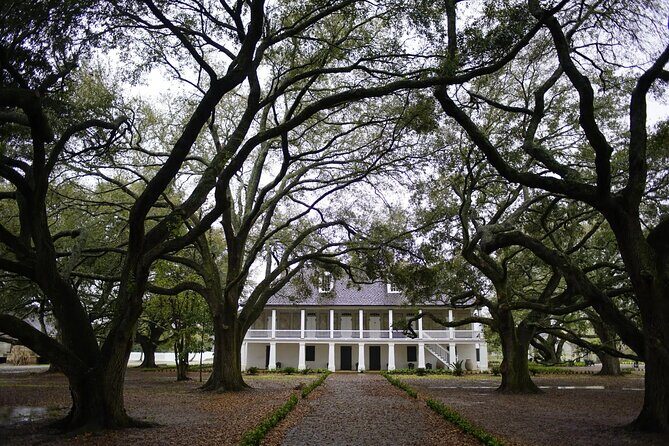 Whitney Plantation Tour with Transportation - Key things I’d bookmark before you go