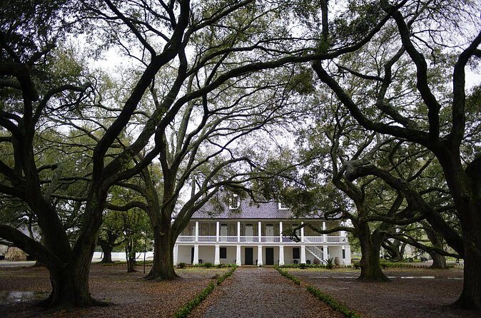 Whitney Plantation Tour with Transportation - Who this tour fits best (and who might prefer something else)