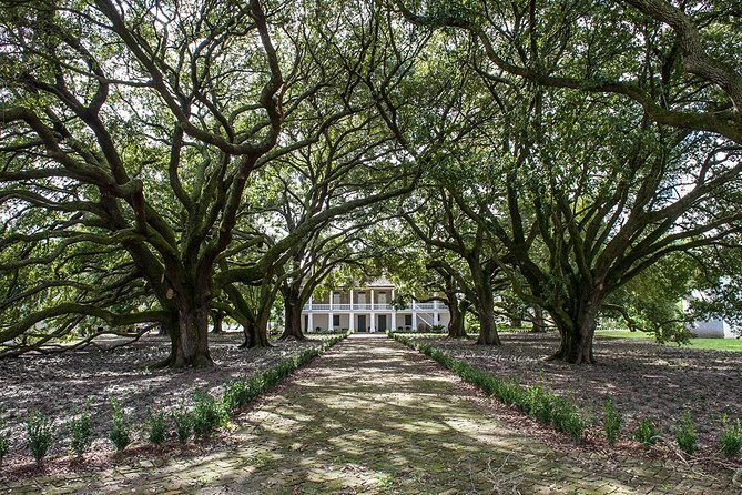 Whitney Plantation Tour with Transportation from New Orleans - Making the Most of Your Time: The 2-Hour Whitney Window
