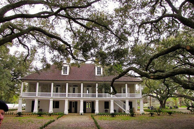 Whitney Plantation Tour with Transportation from New Orleans - Optional 90-Minute Swamp Tour: Pontoon Ride, Wildlife, and a Breath of Air